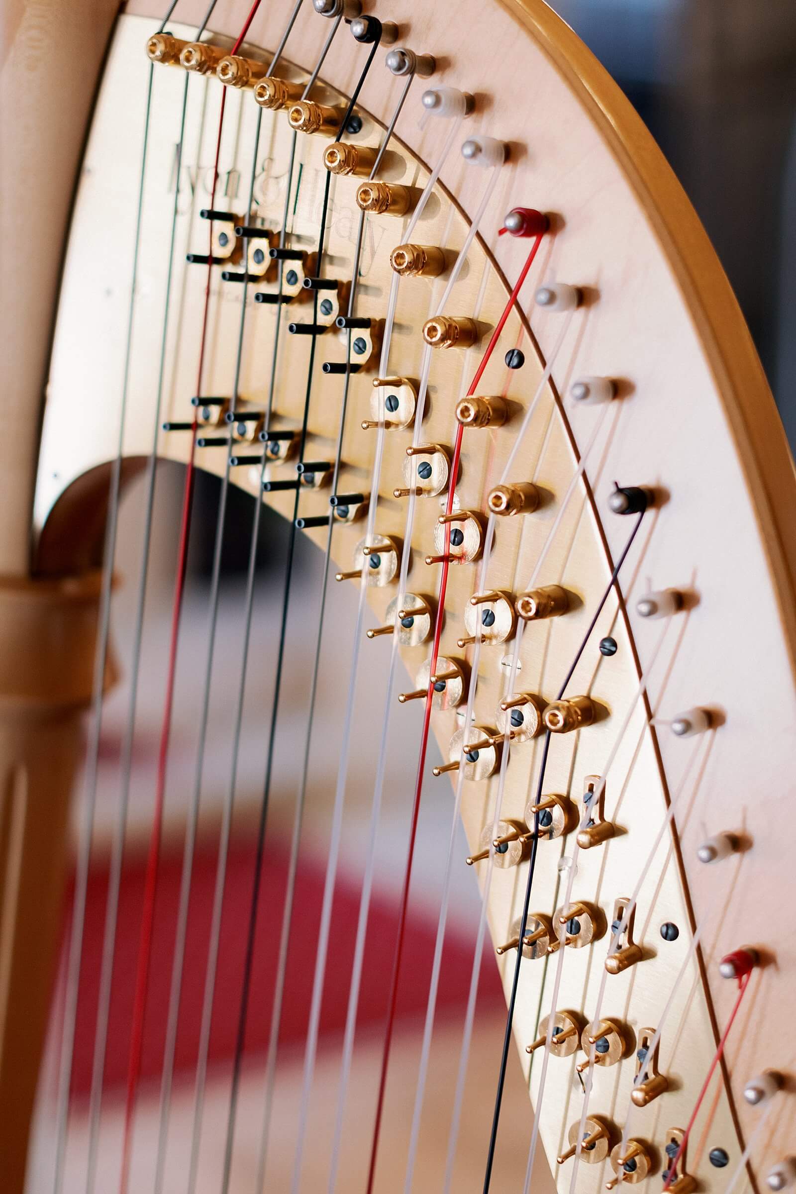 Image of harpist playing at a wedding