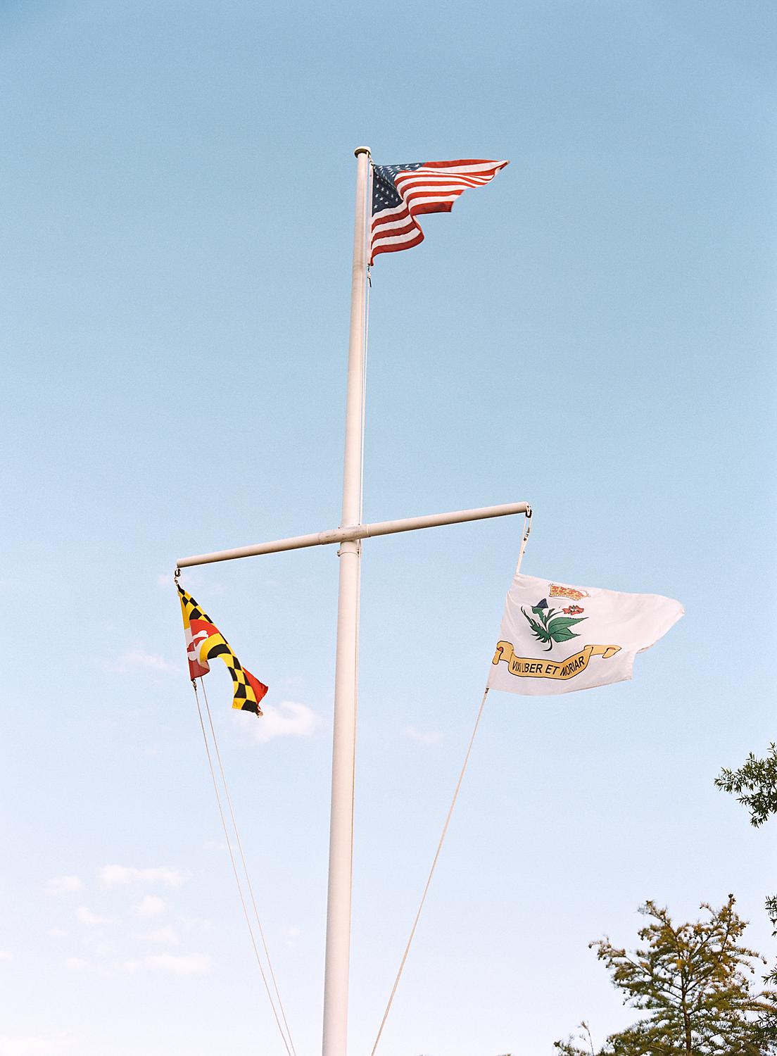 Image of Annapolis Harbor flags.