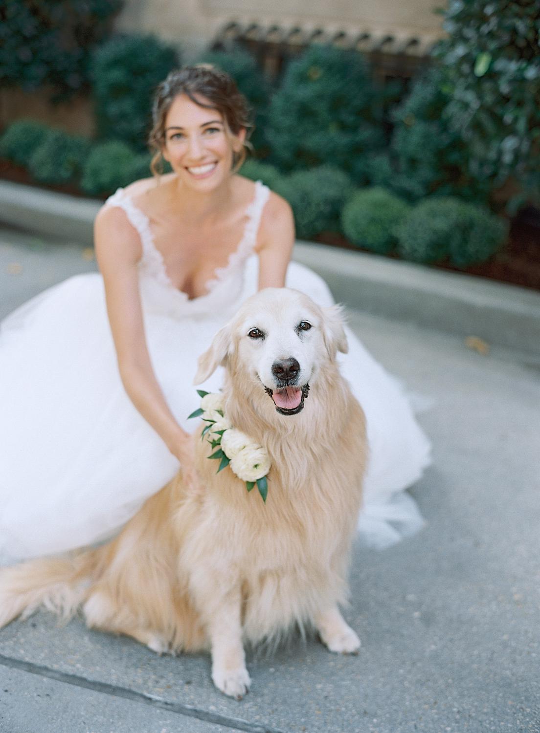 Bride putting a floral collar on her pup before her wedding at DAR Constitution Hall.