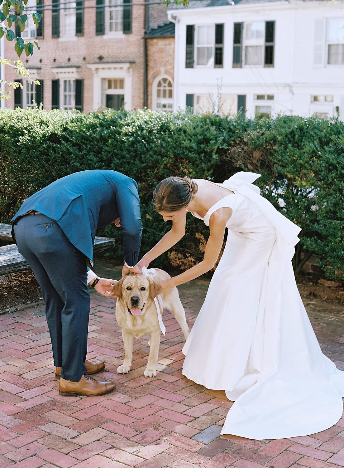 Bride and groom fixing the collar of their puppy during their William Paca House Wedding.