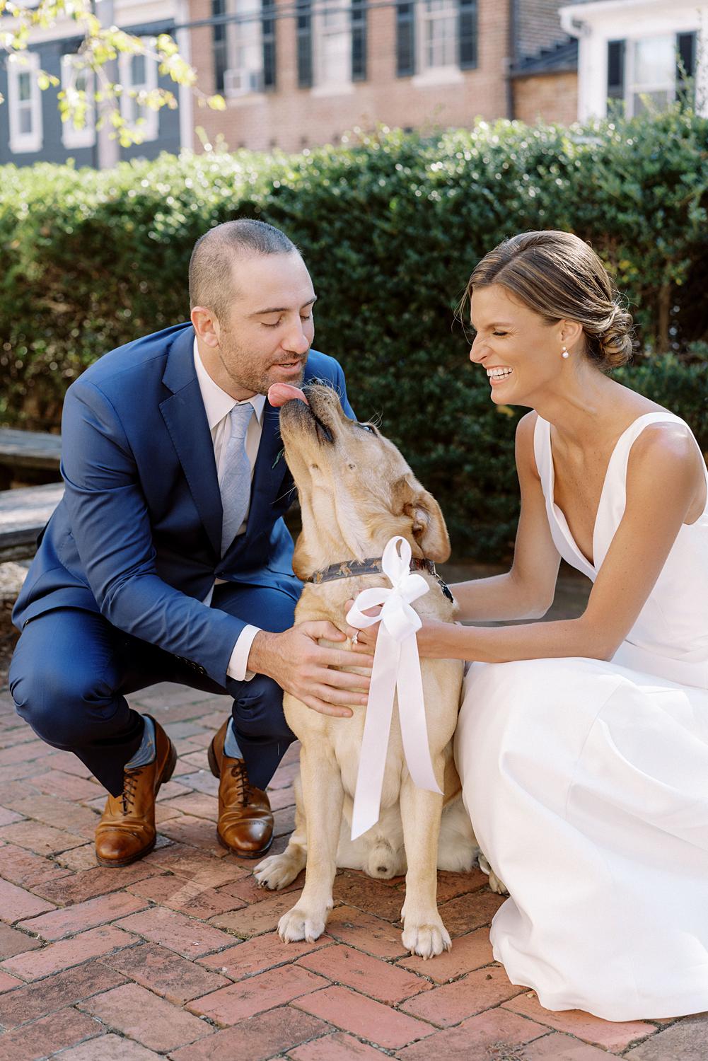 Puppy kissing groom's face during his William Paca House wedding.